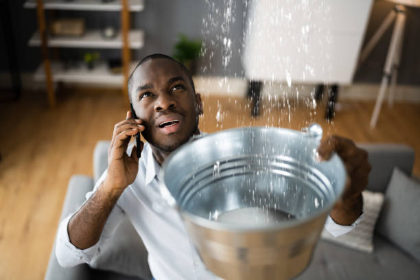 Best 24/7 water damage repair  in Sans Souci, SC