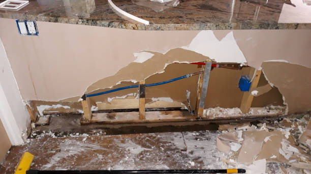Best Sewage cleanup and water damage restoration  in Sans Souci, SC