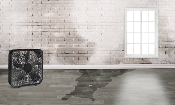 Sans Souci, SC Water damage restoration Company