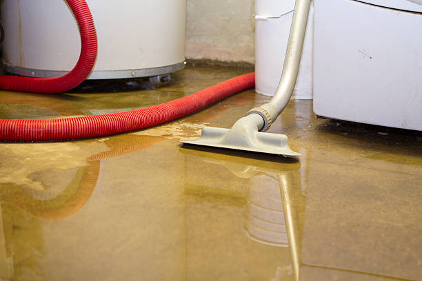 Best Basement water damage restoration  in Sans Souci, SC