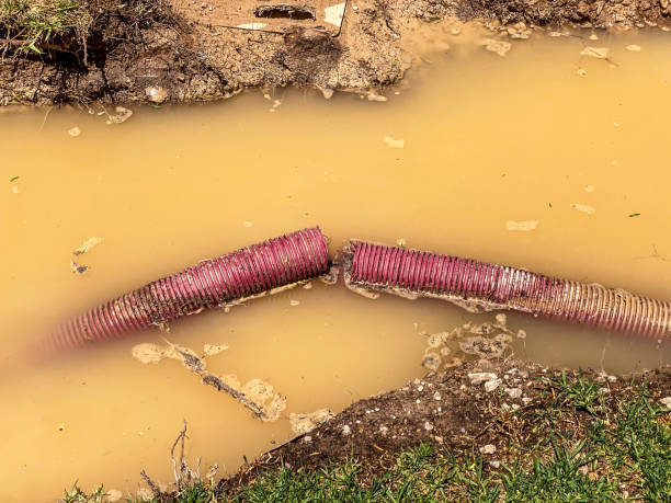 Best Water damage contractors near me  in Sans Souci, SC