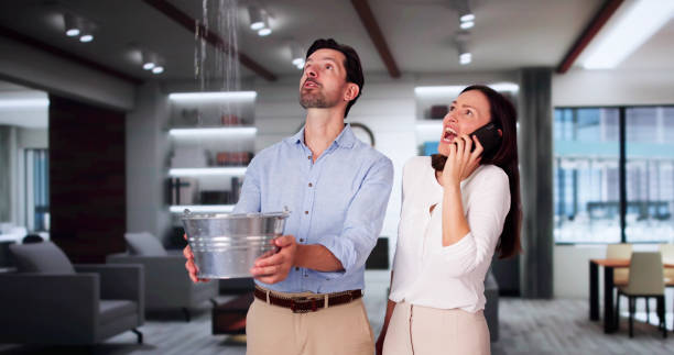 Best Ceiling water damage repair  in Sans Souci, SC