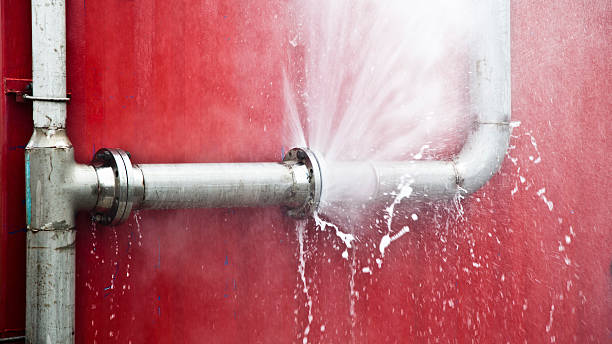  Sans Souci, SC Water damage restoration Pros